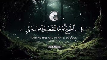 الحج اشهر معلومات / تلاوه خاشعه وراحه نفسيه بصوت القارئ فهد البواردي سورة البقره