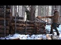 PRIMITIVE TECHNOLOGY: 4 Shelter buildings from start to finish,learn to build a wooden shelter