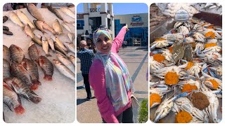 جوله في سوق السمك في بورسعيد بالاسعار وانواع السمك وازاي تقضي يوم بتكلفه بسيطه ⁉️.