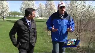 Flowering pear tree now listed among invasive species