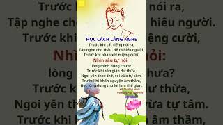 THẤU HIỂU #phatgiao #phatphap #phat #niemphat #adidaphat #trietlysong #chualanh