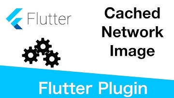 Flutter Cache Network Image and Lazy Loading With Placeholder