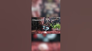 KingKong ACE 3 waterproof test, guess what happens? #CubotKingKongAce3 #waterresistant