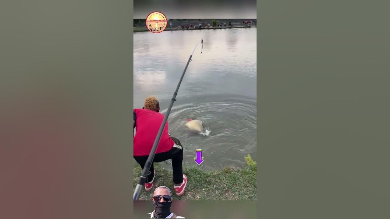 PANIK ‼️ STRIKE IKAN BESAR 😱#fishing #shortvideo #mancing