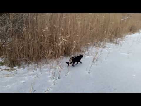 Славянск. 14 января