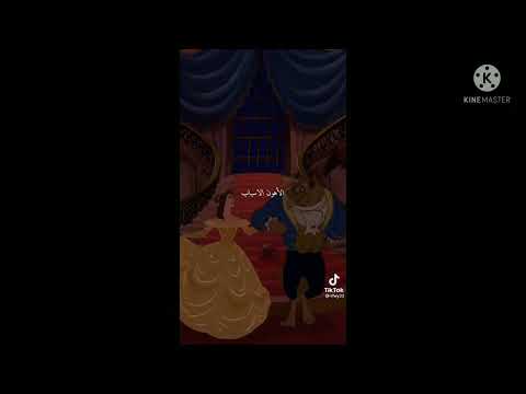 من عمر الأيام