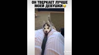 Подборка мемов #1 4ch tik-tok #позитив #тикток #смешноевидео #shorts