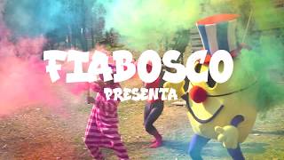Disco nel Bosco fiabosco