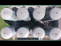 تبدیل کردن آب شور یا آب دریا به آب شیرین