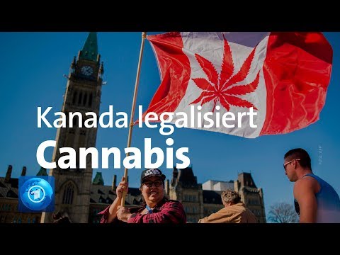 Video: Wer macht Gesetze in Kanada?