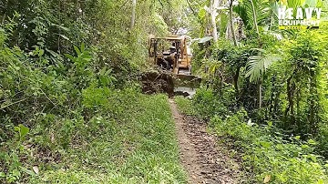 EXCELLENT CATERPILLAR D6R XL BULLDOZER Operator Working on Plantation Roads