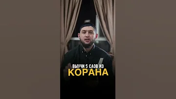 Слова из Корана. #shorts