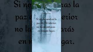 Busca tu paz interior 🌻#Frases Positivas #frases #motivacion #shorts #Dios SUSCRIBETE💖 Busca tu paz interior 🌻#Frases Positivas #frases #motivacion #shorts #Dios SUSCRIBETE💖