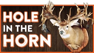 The 'Hole In The Horn' Buck
