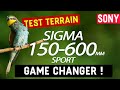 Le ROI des objectifs pour l'animalier ?! Test Sigma 150-600mm DG DN Sport