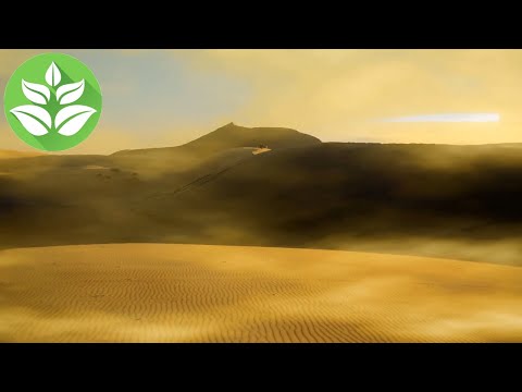Ανεμος σε ο Σαχάρα έρημος. ΕΝΑ αμμοθύελλα μονάδες δίσκου αμμόλοφους. ο ήχος (λευκό θόρυβος)