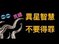 進化之樹另一端的章魚，真的來自外星？看完你還敢吃麼？【cc字幕】【邊界系列】♾️ 想開億點