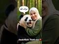 Kind Girl Rescues Trapped Panda 🐼❤️ | Heartwarming Rescue Story #shorts