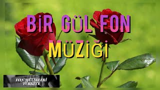 Bir gül fon müziği | Fon Müzikleri Türkiye
