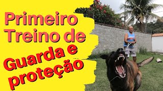 Primeiro Treino de Guarda e Proteção com Pastor Belga Malinois