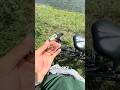 TacklePeak unboxing &amp; angeln mit dem Madmax! #angeln #raubfisch #fisch