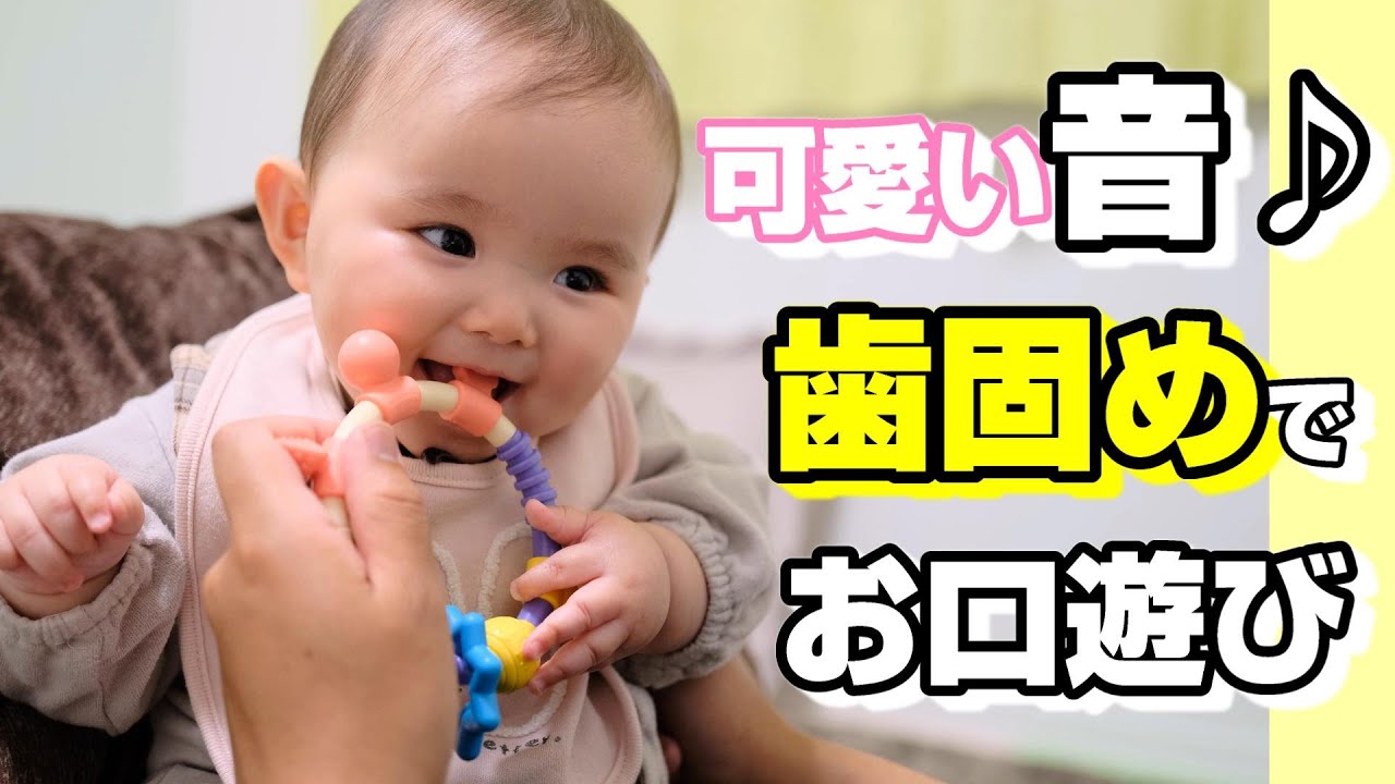 生後7ヶ月 乳児 歯固めの遊びも可愛い 乳歯が生える前のひまちゃん Youtube