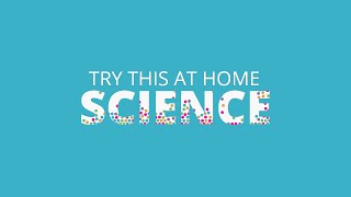 Try This at Home - Science flower dissection