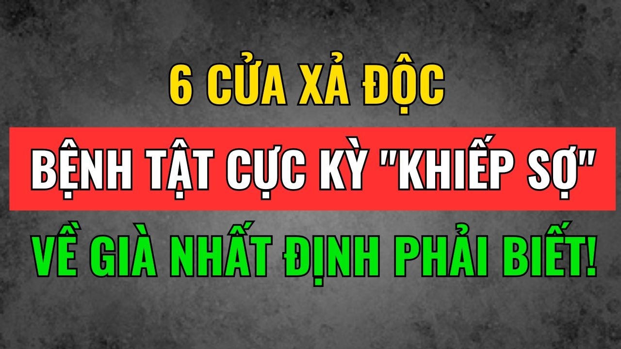 6 CỬA XẢ ĐỘC Của Cơ Thể, Mà Bệnh Tật Cực Kỳ 