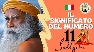 Dove trovo il numero di iscrizione alla Camera di Commercio?