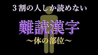 体の部位 Youtube