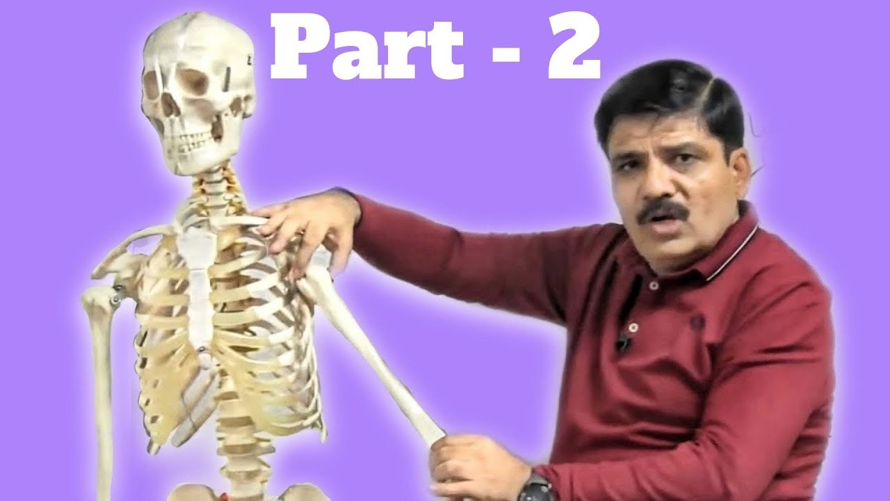 nta neet 2019 merit list NEET Biology: Locomotion and Movement (Part:2) - Number of Bones in Axial Skeleton | NEET 2020-21