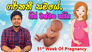 Pregnancy 31st Week | Sinhala Medical Review | අම්මයි බබයි