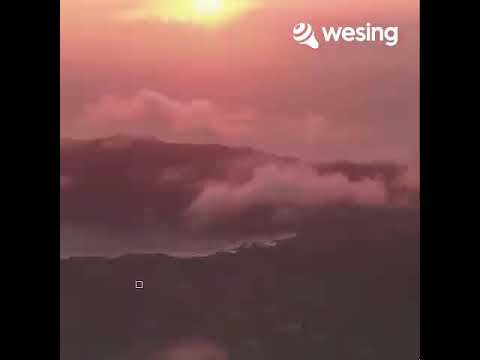 离情