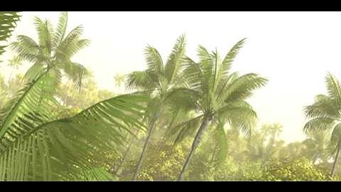 Jungle Trial - Replicators and Volumetrics