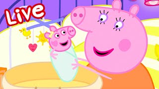 Peppa Pig BABY EVIE Episodes LIVE 🍼 Evie Pig's BEST Moments 🥹 Watch EVIE Now! 💛 Kids Cartoons
