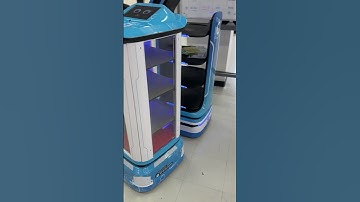 Efficiency Unleashed: Multiple Delivery Robots in Perfect Harmony