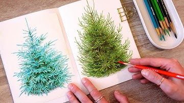 ✍🏼 drawing spruce trees with colored pencils 🌲 / no music