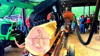 this is how lumber is made at a sawmill, quarter sawing a huge sycamore log