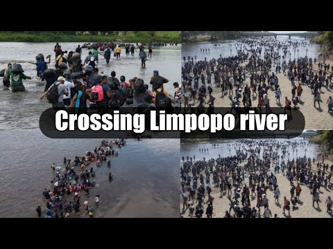 Zimbabweans crossing Limpopo crocodile Infested river, coming to South Africa