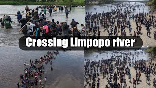Zimbabweans Crossing Limpopo Crocodile Infested River Coming To South Africa