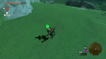 [DAY 469] of finding one korok seed in TotK everyday until we get them all