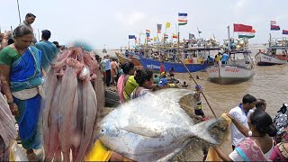 आज वडराई येथील बंदरावरच्या मार्केट पाहूया palghar फिश fishmarket मार्केटबोंबील paplet