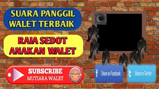 SUARA WALET TERBAIK 2019 - SP. raja sedot anakan