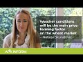 Weather conditions will be the main price forming factor on the wheat market – Natalja Skuratovic