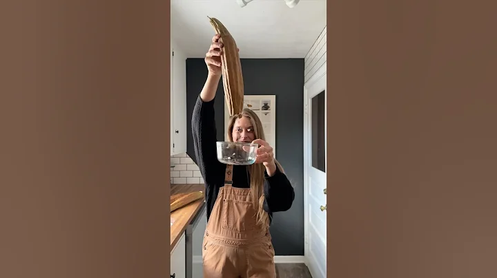 Drying Green Luffa In My Garage! #backyardhomestead #backyardgardening #luffa #homegrown #gardening