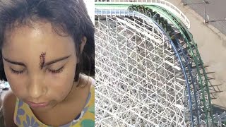 8YearOld Injured on Roller Coaster by Falling Cell Phone