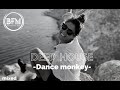 Deep House /Dance Monkey Remix by SHOBY.#Blankofreemusic