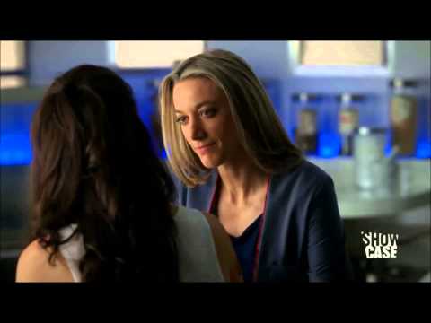 Doccubus 5.03 \