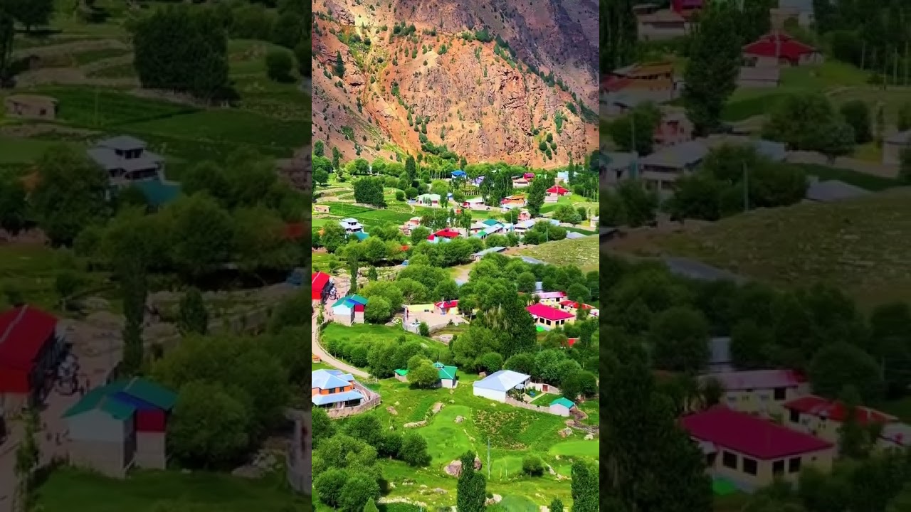 🌲🌲❤️Tareshing ❤️🌲🌲