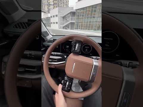 مقصورة أفخم سيارات هيونداي